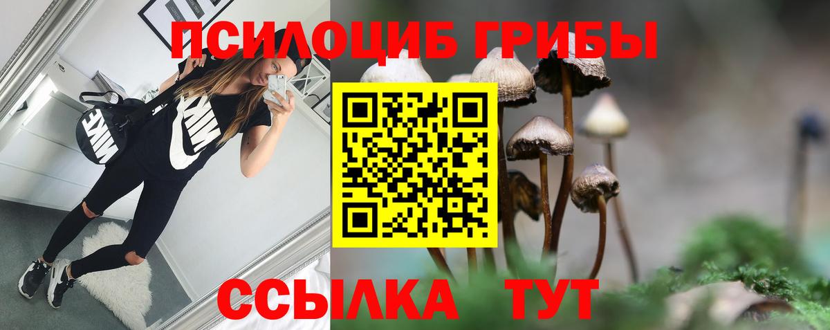 Галлюциногенные грибы MAGIC MUSHROOMS Саратов